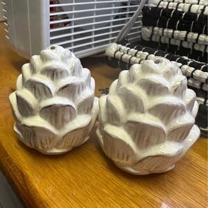 White Succulent Salt and Pepper Shakers